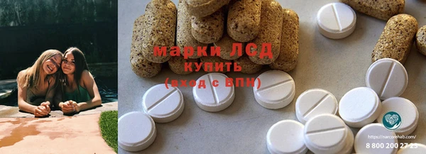 крисы Баксан