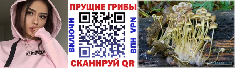 Галлюциногенные грибы ЛСД  Ступино 